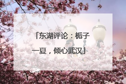东湖评论：栀子一夏，倾心武汉