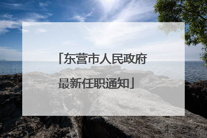 东营市人民政府最新任职通知