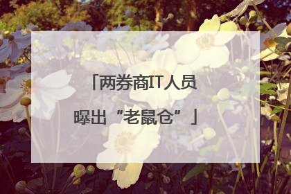 两券商IT人员曝出“老鼠仓”