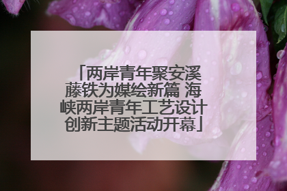 两岸青年聚安溪 藤铁为媒绘新篇 海峡两岸青年工艺设计创新主题活动开幕