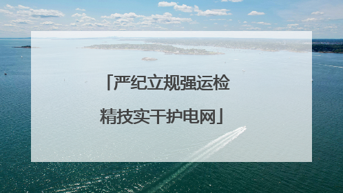 严纪立规强运检 精技实干护电网