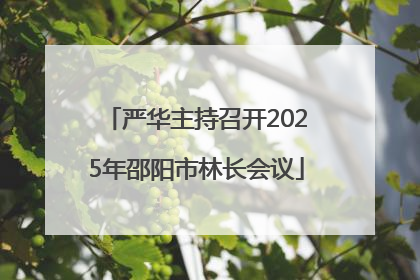 严华主持召开2025年邵阳市林长会议