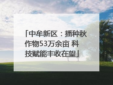 中牟新区：播种秋作物53万余亩 科技赋能丰收在望