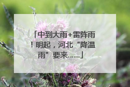 中到大雨+雷阵雨！明起，河北“降温雨”要来……