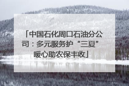 中国石化周口石油分公司：多元服务护“三夏” 暖心助农保丰收