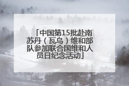 中国第15批赴南苏丹（瓦乌）维和部队参加联合国维和人员日纪念活动
