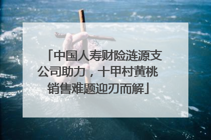 中国人寿财险涟源支公司助力，十甲村黄桃销售难题迎刃而解
