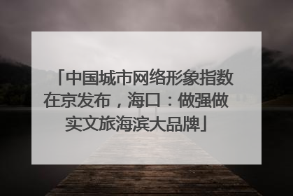 中国城市网络形象指数在京发布，海口：做强做实文旅海滨大品牌