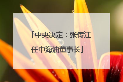 中央决定：张传江任中海油董事长