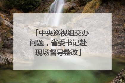 中央巡视组交办问题，省委书记赴现场督导整改