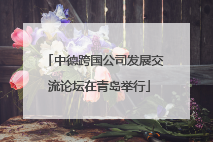 中德跨国公司发展交流论坛在青岛举行