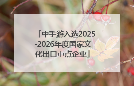 中手游入选2025-2026年度国家文化出口重点企业