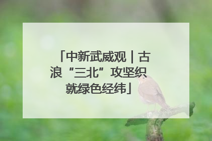 中新武威观｜古浪“三北”攻坚织就绿色经纬