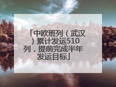 中欧班列（武汉）累计发运510列，提前完成半年发运目标
