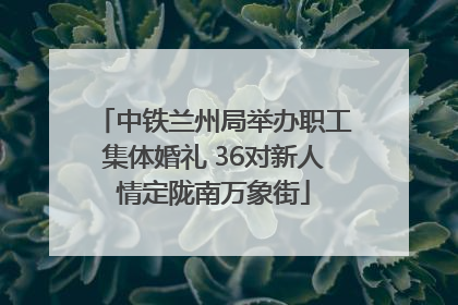 中铁兰州局举办职工集体婚礼 36对新人情定陇南万象街