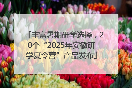 丰富暑期研学选择，20个“2025年安徽研学夏令营”产品发布