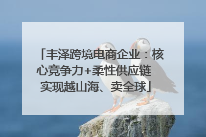 丰泽跨境电商企业：核心竞争力+柔性供应链 实现越山海、卖全球