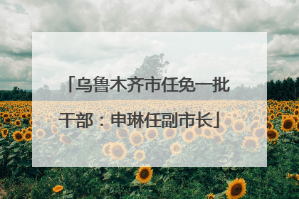 乌鲁木齐市任免一批干部：申琳任副市长