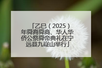 乙巳（2025）年舜裔舜商、华人华侨公祭舜帝典礼在宁远县九嶷山举行