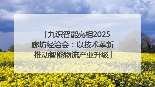 九识智能亮相2025廊坊经洽会：以技术革新推动智能物流产业升级