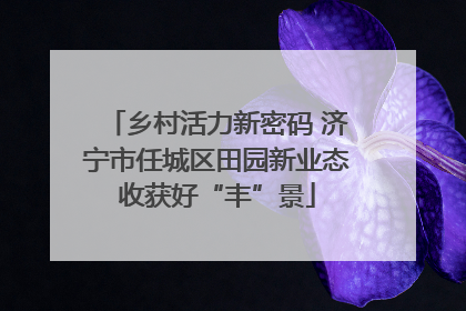 乡村活力新密码 济宁市任城区田园新业态收获好“丰”景
