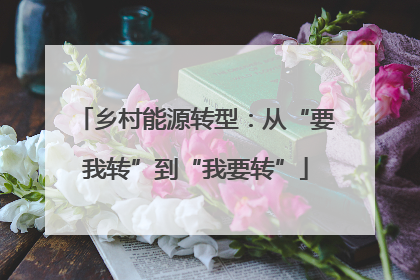 乡村能源转型：从“要我转”到“我要转”