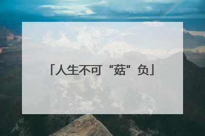 人生不可“菇”负