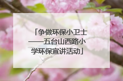 争做环保小卫士——五台山西路小学环保宣讲活动