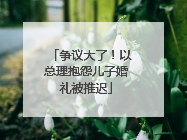 争议大了！以总理抱怨儿子婚礼被推迟