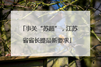 事关“苏超”，江苏省省长提最新要求
