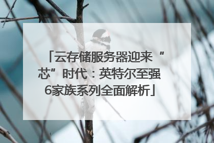 云存储服务器迎来“芯”时代：英特尔至强6家族系列全面解析