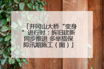 井冈山大桥“变身”进行时：拆旧建新同步推进 多举措保障汛期施工（图）