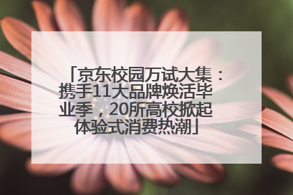 京东校园万试大集：携手11大品牌焕活毕业季，20所高校掀起体验式消费热潮