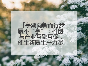 亭湖向新而行步履不“亭”：科创与产业互融互促，催生新质生产力澎湃动能