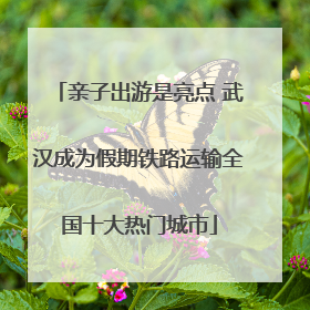 亲子出游是亮点 武汉成为假期铁路运输全国十大热门城市