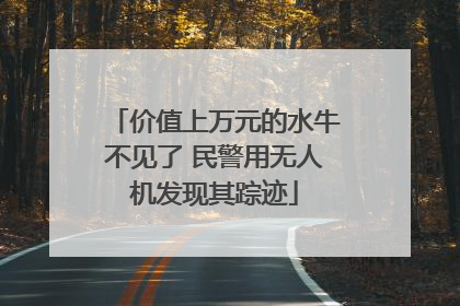 价值上万元的水牛不见了 民警用无人机发现其踪迹