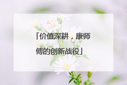 价值深耕，康师傅的创新战役