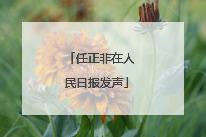 任正非在人民日报发声