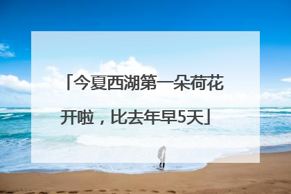 今夏西湖第一朵荷花开啦，比去年早5天