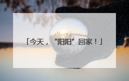 今天，“阳阳”回家！