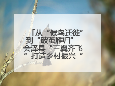 从“候鸟迁徙”到“破茧雁归” 会泽县“三翼齐飞”打造乡村振兴“创业雁阵”