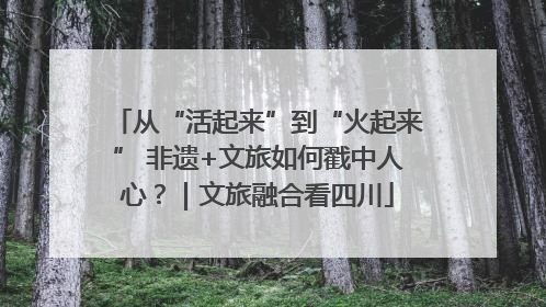 从“活起来”到“火起来” 非遗+文旅如何戳中人心？｜文旅融合看四川