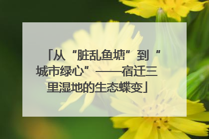从“脏乱鱼塘”到“城市绿心”——宿迁三里湿地的生态蝶变