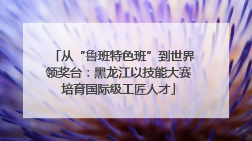 从“鲁班特色班”到世界领奖台：黑龙江以技能大赛培育国际级工匠人才