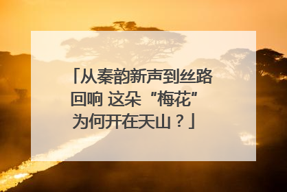 从秦韵新声到丝路回响 这朵“梅花”为何开在天山？