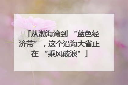 从渤海湾到 “蓝色经济带”，这个沿海大省正在 “乘风破浪”