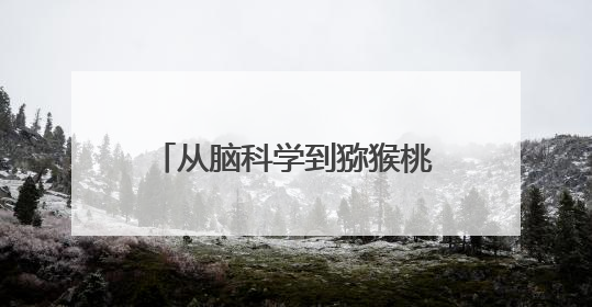 从脑科学到猕猴桃——中外联合实验室奏响“一带一路”科技合作交响曲