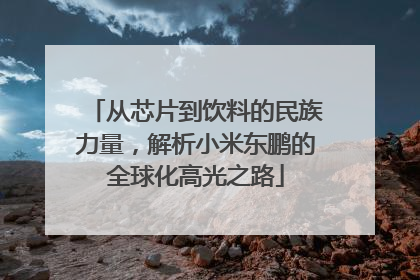 从芯片到饮料的民族力量，解析小米东鹏的全球化高光之路