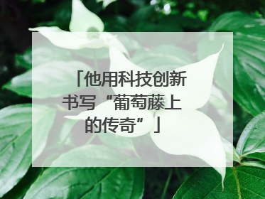 他用科技创新书写“葡萄藤上的传奇”