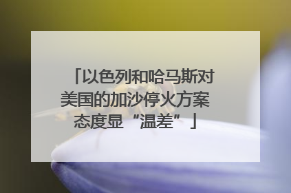 以色列和哈马斯对美国的加沙停火方案态度显“温差”
